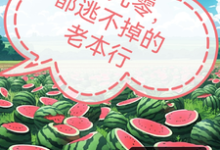 唐嫣肖致小说叫什么（回到九零，都逃不掉的老本行完整版免费阅读）-艾米文学