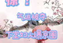 惊!气运被夺,下堂妇火爆京圈小说完结版章节免费阅读-艾米文学