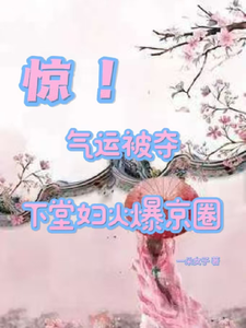 惊！气运被夺，下堂妇火爆京圈小说完结版章节免费阅读