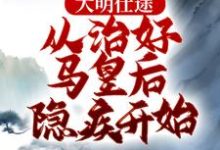 小说《大明仕途：从治好马皇后隐疾开始》完整版章节免费阅读-艾米文学