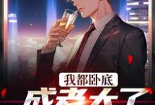 已完结小说《我都卧底成老大了，还不收网？》章节免费阅读-艾米文学
