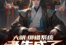 大明:绑错系统,老朱成了我岳父这本小说在哪里可以看?哪里有免费试读章节?-艾米文学