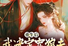 《重生后,我决定宠狼夫,养狼仔》白宁厉怀渊完整版小说免费阅读-艾米文学