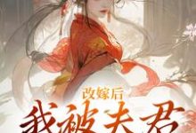完结版《改嫁后,我被夫君硬宠上天》在线免费阅读-艾米文学