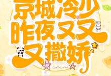 完结版《哇枭!京城冷少昨夜又又又撒娇!》章节阅读-艾米文学