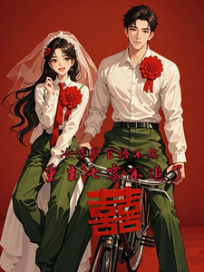 完结版《冷情军官捂不热，重生七零不追了》章节阅读
