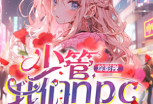 《综影视：少管我们npc》小说免费阅读完整版-艾米文学