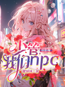 《综影视：少管我们npc》小说免费阅读完整版