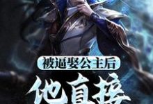求被逼娶公主后，他直接坐了皇位小说的全文免费阅读链接-艾米文学