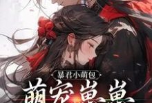 《暴君小萌包,萌宠崽崽要抱抱》虞团团完整版小说免费阅读-艾米文学