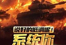 说好的低调呢!系统你玩啥坦克这本小说怎么样?免费在线阅读试试-艾米文学