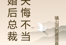 离婚后总裁前夫悔不当初最新章节,离婚后总裁前夫悔不当初免费阅读-艾米文学