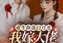 在线免费阅读重生你选白月光,我嫁大佬你哭啥完整小说-艾米文学