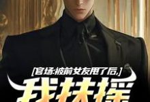 寻找能够免费阅读官场：被前女友甩了后，我扶摇直上小说的平台-艾米文学