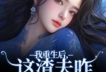 小说《我重生后，这渣夫咋还换人格了》在线章节阅读-艾米文学