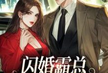 闪婚霸总,只虐渣不谈情小说完结版章节免费阅读-艾米文学