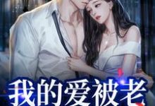 完结版《我的爱被老婆永久拉黑》章节目录在线阅读-艾米文学