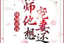 青姝小说《缘深虐浅：法师他想宠妻还俗》在线阅读-艾米文学