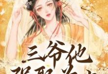 寻找能够免费阅读三爷他强娶为上小说的平台-艾米文学