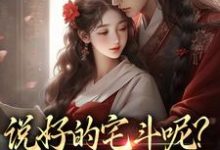 说好的宅斗呢?你独宠我干嘛小说全文哪里可以免费看?-艾米文学