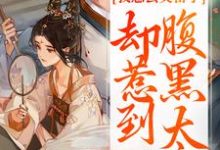 完整版《我想去父留子，却惹到腹黑太子》小说免费阅读-艾米文学