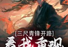 《三尺青锋开路，看我重现家族荣耀》叶凌天武明月小说免费阅读完整版-艾米文学