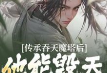 传承吞天魔塔后,他能毁天灭地!小说的免费阅读版本在哪里可以找到?-艾米文学