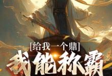 给我一个鼎,我能称霸九重天完整版小说,给我一个鼎,我能称霸九重天免费阅读-艾米文学