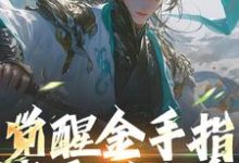 林轩凌方仪完整版《觉醒金手指,我要做人皇》小说免费阅读-艾米文学