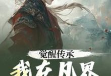觉醒传承，我在凡界斩妖除魔陆沉小说在线章节目录阅读最新章节-艾米文学