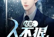 小说完整版《权谋：人不狠，站不稳》免费阅读-艾米文学