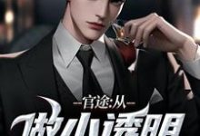 何涛小说《官途:从做小透明开始》完整版免费阅读-艾米文学