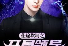 小说《仕途坎坷之开局领导被祭天》完整版在线章节免费阅读-艾米文学