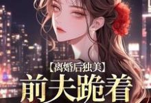 求离婚后独美，前夫跪着求原谅小说的全文免费阅读链接-艾米文学