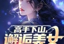 完结版《高手下山,邂逅美女总裁未婚妻》章节阅读-艾米文学