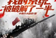 亮剑：我的系统被破解了一半小说，亮剑：我的系统被破解了一半在线阅读-艾米文学