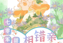 舒云顾峻完整版小说免费阅读-艾米文学