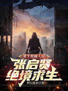 张启贤小说免费阅读完整版