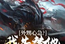 《外甥心急？我先替他打江山》小说章节在线试读，《外甥心急？我先替他打江山》最新章节目录-艾米文学