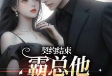 契约结束，霸总他跟我玩套路最新章节，契约结束，霸总他跟我玩套路免费阅读-艾米文学