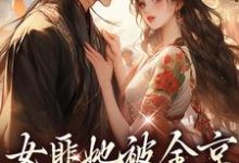 女匪她被全京权贵求娶了穆岁安蔺聿珩小说大结局免费试读-艾米文学
