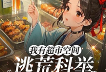 小说《我有超市空间，逃荒科举赢麻了》完整版在线章节免费阅读-艾米文学