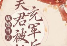 谢皎小说在线章节免费阅读(成婚当天,夫君被抓充军后无弹窗无删减)-艾米文学