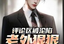 程毅瑞秋小说叫什么（评论区被沦陷，老外狠狠羡慕了完整版免费阅读）-艾米文学