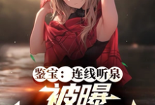 《鉴宝：连线听泉，被曝满门忠烈？》小说章节在线试读，《鉴宝：连线听泉，被曝满门忠烈？》最新章节目录-艾米文学