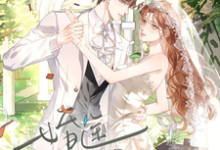 《婚途明媚》小说免费阅读完整版-艾米文学