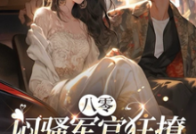 八零：闷骚军官狂撩炮灰前妻完整版小说，八零：闷骚军官狂撩炮灰前妻陆纪珩祝岁安-艾米文学