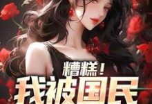 糟糕！我被国民女神缠上最新章节，糟糕！我被国民女神缠上免费阅读-艾米文学
