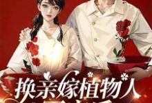 金小满陆永安小说《换亲嫁植物人军官后,我一胎三宝》完整版免费阅读-艾米文学