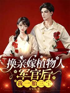 金小满陆永安小说《换亲嫁植物人军官后，我一胎三宝》完整版免费阅读